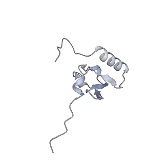 22141_6xdq_W_v1-2
Cryo-EM structure of an Escherichia coli coupled transcription-translation complex B3 (TTC-B3) containing an mRNA with a 30 nt long spacer, transcription factors NusA and NusG, and fMet-tRNAs at P-site and E-site