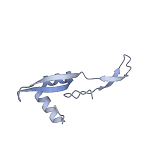 22141_6xdq_c_v1-2
Cryo-EM structure of an Escherichia coli coupled transcription-translation complex B3 (TTC-B3) containing an mRNA with a 30 nt long spacer, transcription factors NusA and NusG, and fMet-tRNAs at P-site and E-site