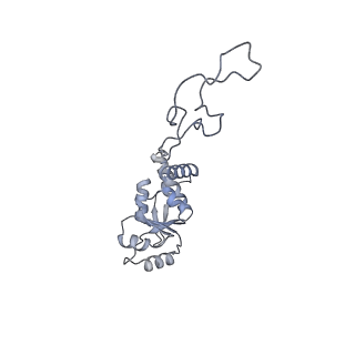22141_6xdq_l_v1-2
Cryo-EM structure of an Escherichia coli coupled transcription-translation complex B3 (TTC-B3) containing an mRNA with a 30 nt long spacer, transcription factors NusA and NusG, and fMet-tRNAs at P-site and E-site