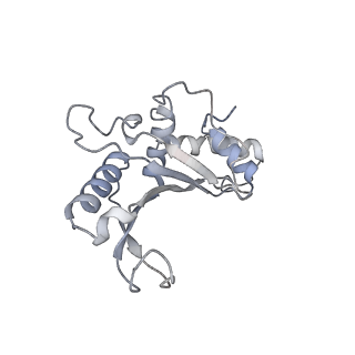 22141_6xdq_n_v1-2
Cryo-EM structure of an Escherichia coli coupled transcription-translation complex B3 (TTC-B3) containing an mRNA with a 30 nt long spacer, transcription factors NusA and NusG, and fMet-tRNAs at P-site and E-site