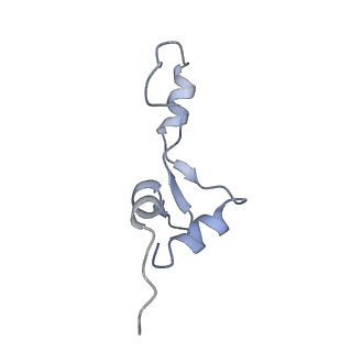 22141_6xdq_o_v1-2
Cryo-EM structure of an Escherichia coli coupled transcription-translation complex B3 (TTC-B3) containing an mRNA with a 30 nt long spacer, transcription factors NusA and NusG, and fMet-tRNAs at P-site and E-site