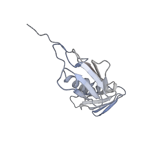 22141_6xdq_p_v1-2
Cryo-EM structure of an Escherichia coli coupled transcription-translation complex B3 (TTC-B3) containing an mRNA with a 30 nt long spacer, transcription factors NusA and NusG, and fMet-tRNAs at P-site and E-site