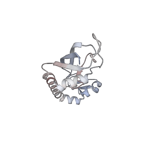 22141_6xdq_r_v1-2
Cryo-EM structure of an Escherichia coli coupled transcription-translation complex B3 (TTC-B3) containing an mRNA with a 30 nt long spacer, transcription factors NusA and NusG, and fMet-tRNAs at P-site and E-site