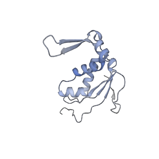 22141_6xdq_s_v1-2
Cryo-EM structure of an Escherichia coli coupled transcription-translation complex B3 (TTC-B3) containing an mRNA with a 30 nt long spacer, transcription factors NusA and NusG, and fMet-tRNAs at P-site and E-site