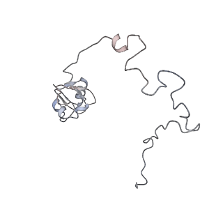 22141_6xdq_u_v1-2
Cryo-EM structure of an Escherichia coli coupled transcription-translation complex B3 (TTC-B3) containing an mRNA with a 30 nt long spacer, transcription factors NusA and NusG, and fMet-tRNAs at P-site and E-site