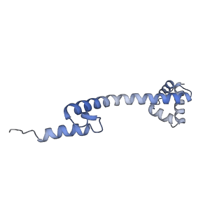 22141_6xdq_z_v1-2
Cryo-EM structure of an Escherichia coli coupled transcription-translation complex B3 (TTC-B3) containing an mRNA with a 30 nt long spacer, transcription factors NusA and NusG, and fMet-tRNAs at P-site and E-site