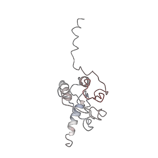 22142_6xdr_9_v1-2
Escherichia coli transcription-translation complex B (TTC-B) containing an 27 nt long mRNA spacer, NusG, and fMet-tRNAs at E-site and P-site
