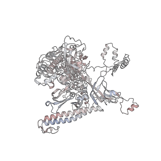 22142_6xdr_AA_v1-2
Escherichia coli transcription-translation complex B (TTC-B) containing an 27 nt long mRNA spacer, NusG, and fMet-tRNAs at E-site and P-site