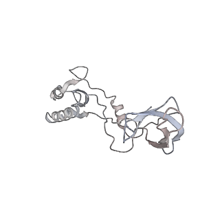 22142_6xdr_AB_v1-2
Escherichia coli transcription-translation complex B (TTC-B) containing an 27 nt long mRNA spacer, NusG, and fMet-tRNAs at E-site and P-site
