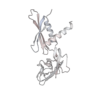 22142_6xdr_AC_v1-2
Escherichia coli transcription-translation complex B (TTC-B) containing an 27 nt long mRNA spacer, NusG, and fMet-tRNAs at E-site and P-site