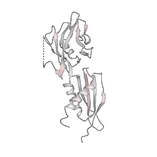 22142_6xdr_AD_v1-2
Escherichia coli transcription-translation complex B (TTC-B) containing an 27 nt long mRNA spacer, NusG, and fMet-tRNAs at E-site and P-site