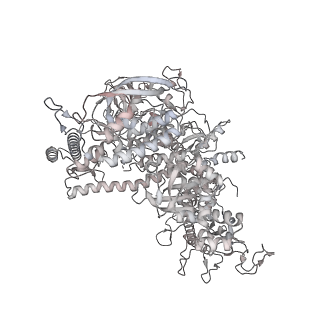 22142_6xdr_AE_v1-2
Escherichia coli transcription-translation complex B (TTC-B) containing an 27 nt long mRNA spacer, NusG, and fMet-tRNAs at E-site and P-site