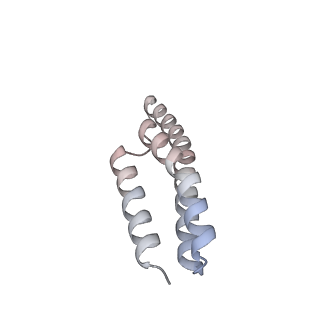 22142_6xdr_E_v1-2
Escherichia coli transcription-translation complex B (TTC-B) containing an 27 nt long mRNA spacer, NusG, and fMet-tRNAs at E-site and P-site