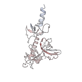 22142_6xdr_H_v1-2
Escherichia coli transcription-translation complex B (TTC-B) containing an 27 nt long mRNA spacer, NusG, and fMet-tRNAs at E-site and P-site