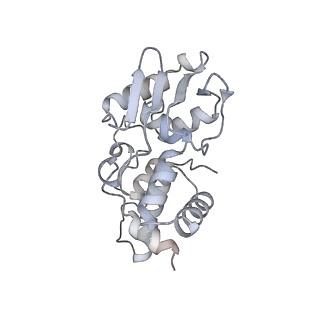 22142_6xdr_J_v1-2
Escherichia coli transcription-translation complex B (TTC-B) containing an 27 nt long mRNA spacer, NusG, and fMet-tRNAs at E-site and P-site