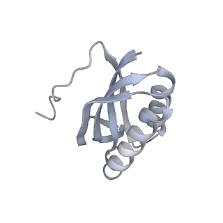 22142_6xdr_L_v1-2
Escherichia coli transcription-translation complex B (TTC-B) containing an 27 nt long mRNA spacer, NusG, and fMet-tRNAs at E-site and P-site
