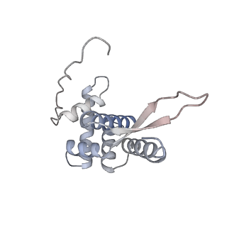 22142_6xdr_M_v1-2
Escherichia coli transcription-translation complex B (TTC-B) containing an 27 nt long mRNA spacer, NusG, and fMet-tRNAs at E-site and P-site