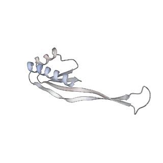 22142_6xdr_P_v1-2
Escherichia coli transcription-translation complex B (TTC-B) containing an 27 nt long mRNA spacer, NusG, and fMet-tRNAs at E-site and P-site