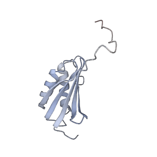 22142_6xdr_Q_v1-2
Escherichia coli transcription-translation complex B (TTC-B) containing an 27 nt long mRNA spacer, NusG, and fMet-tRNAs at E-site and P-site