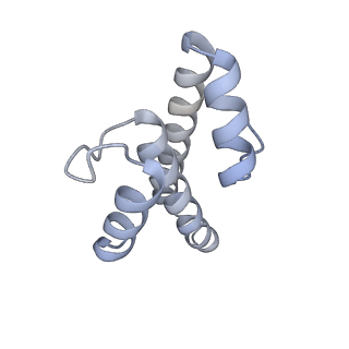 22142_6xdr_T_v1-2
Escherichia coli transcription-translation complex B (TTC-B) containing an 27 nt long mRNA spacer, NusG, and fMet-tRNAs at E-site and P-site