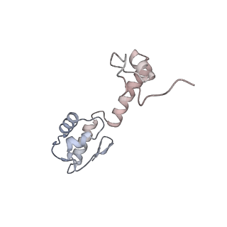 22142_6xdr_X_v1-2
Escherichia coli transcription-translation complex B (TTC-B) containing an 27 nt long mRNA spacer, NusG, and fMet-tRNAs at E-site and P-site