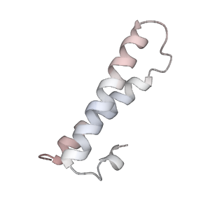 22142_6xdr_e_v1-2
Escherichia coli transcription-translation complex B (TTC-B) containing an 27 nt long mRNA spacer, NusG, and fMet-tRNAs at E-site and P-site