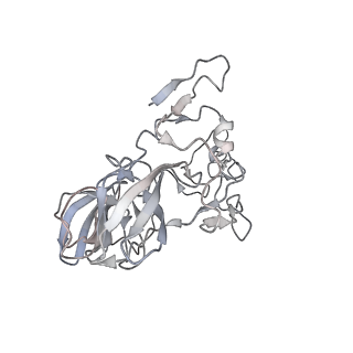 22142_6xdr_h_v1-2
Escherichia coli transcription-translation complex B (TTC-B) containing an 27 nt long mRNA spacer, NusG, and fMet-tRNAs at E-site and P-site