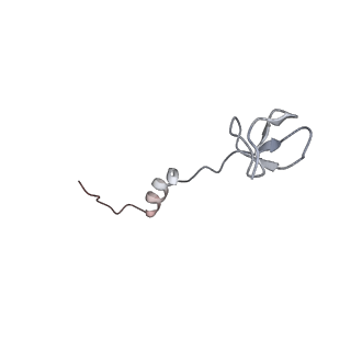 22142_6xdr_i_v1-2
Escherichia coli transcription-translation complex B (TTC-B) containing an 27 nt long mRNA spacer, NusG, and fMet-tRNAs at E-site and P-site