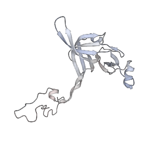 22142_6xdr_j_v1-2
Escherichia coli transcription-translation complex B (TTC-B) containing an 27 nt long mRNA spacer, NusG, and fMet-tRNAs at E-site and P-site