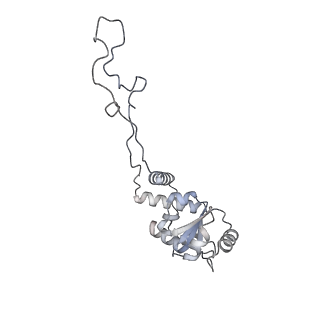 22142_6xdr_l_v1-2
Escherichia coli transcription-translation complex B (TTC-B) containing an 27 nt long mRNA spacer, NusG, and fMet-tRNAs at E-site and P-site