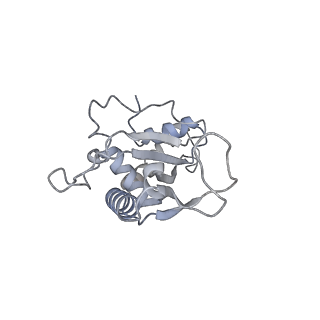 22142_6xdr_n_v1-2
Escherichia coli transcription-translation complex B (TTC-B) containing an 27 nt long mRNA spacer, NusG, and fMet-tRNAs at E-site and P-site