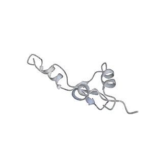 22142_6xdr_o_v1-2
Escherichia coli transcription-translation complex B (TTC-B) containing an 27 nt long mRNA spacer, NusG, and fMet-tRNAs at E-site and P-site