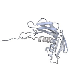 22142_6xdr_p_v1-2
Escherichia coli transcription-translation complex B (TTC-B) containing an 27 nt long mRNA spacer, NusG, and fMet-tRNAs at E-site and P-site
