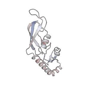 22142_6xdr_r_v1-2
Escherichia coli transcription-translation complex B (TTC-B) containing an 27 nt long mRNA spacer, NusG, and fMet-tRNAs at E-site and P-site