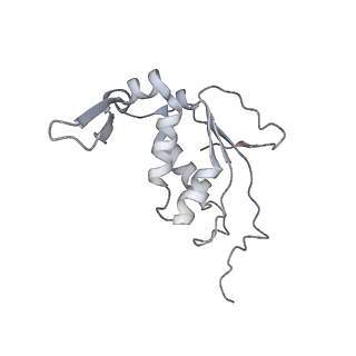 22142_6xdr_s_v1-2
Escherichia coli transcription-translation complex B (TTC-B) containing an 27 nt long mRNA spacer, NusG, and fMet-tRNAs at E-site and P-site
