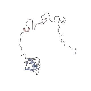 22142_6xdr_u_v1-2
Escherichia coli transcription-translation complex B (TTC-B) containing an 27 nt long mRNA spacer, NusG, and fMet-tRNAs at E-site and P-site