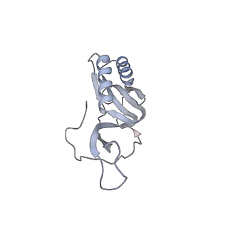 22142_6xdr_v_v1-2
Escherichia coli transcription-translation complex B (TTC-B) containing an 27 nt long mRNA spacer, NusG, and fMet-tRNAs at E-site and P-site