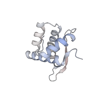 22142_6xdr_w_v1-2
Escherichia coli transcription-translation complex B (TTC-B) containing an 27 nt long mRNA spacer, NusG, and fMet-tRNAs at E-site and P-site