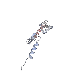 22142_6xdr_z_v1-2
Escherichia coli transcription-translation complex B (TTC-B) containing an 27 nt long mRNA spacer, NusG, and fMet-tRNAs at E-site and P-site