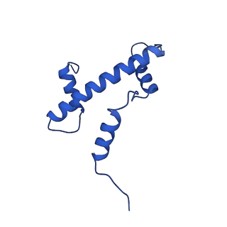 33131_7xd0_A_v1-0
cryo-EM structure of H2BK34ub nucleosome