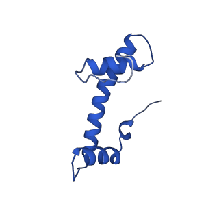 33131_7xd0_B_v1-0
cryo-EM structure of H2BK34ub nucleosome