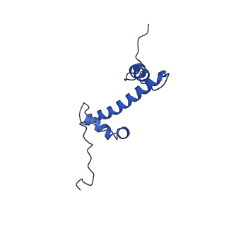 33131_7xd0_C_v1-0
cryo-EM structure of H2BK34ub nucleosome