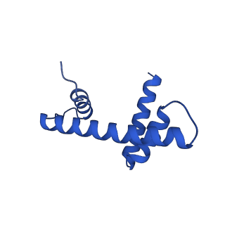33131_7xd0_D_v1-0
cryo-EM structure of H2BK34ub nucleosome