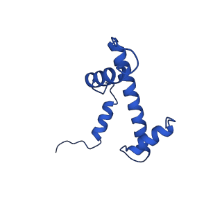 33131_7xd0_E_v1-0
cryo-EM structure of H2BK34ub nucleosome