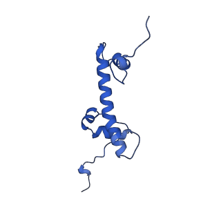 33131_7xd0_G_v1-0
cryo-EM structure of H2BK34ub nucleosome