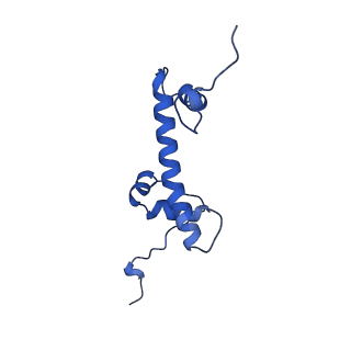 33131_7xd0_G_v2-2
cryo-EM structure of H2BK34ub nucleosome