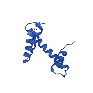 33131_7xd0_H_v1-0
cryo-EM structure of H2BK34ub nucleosome