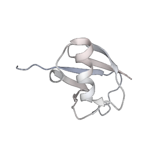 33131_7xd0_K_v2-2
cryo-EM structure of H2BK34ub nucleosome