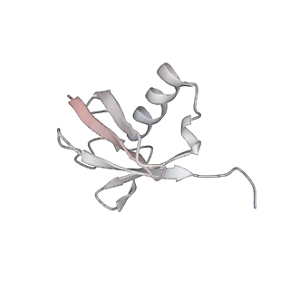 33131_7xd0_L_v1-0
cryo-EM structure of H2BK34ub nucleosome