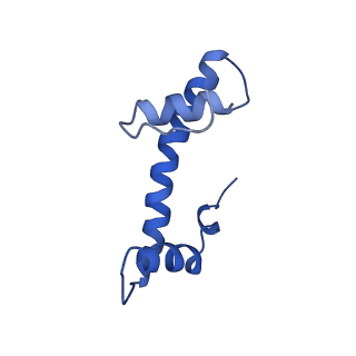 33132_7xd1_B_v1-2
cryo-EM structure of unmodified nucleosome